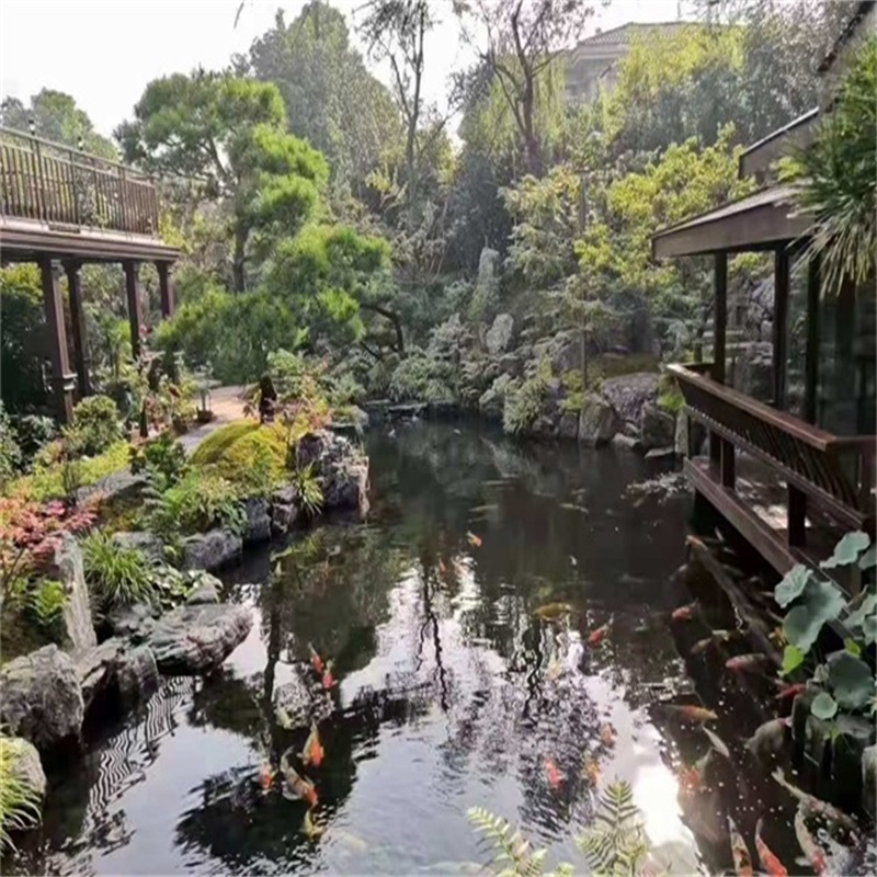 东平小庭院假山鱼池